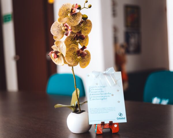 Bono de condolencias con orquídea