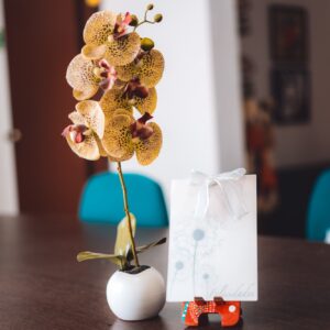 Bono felicidades con orquídea